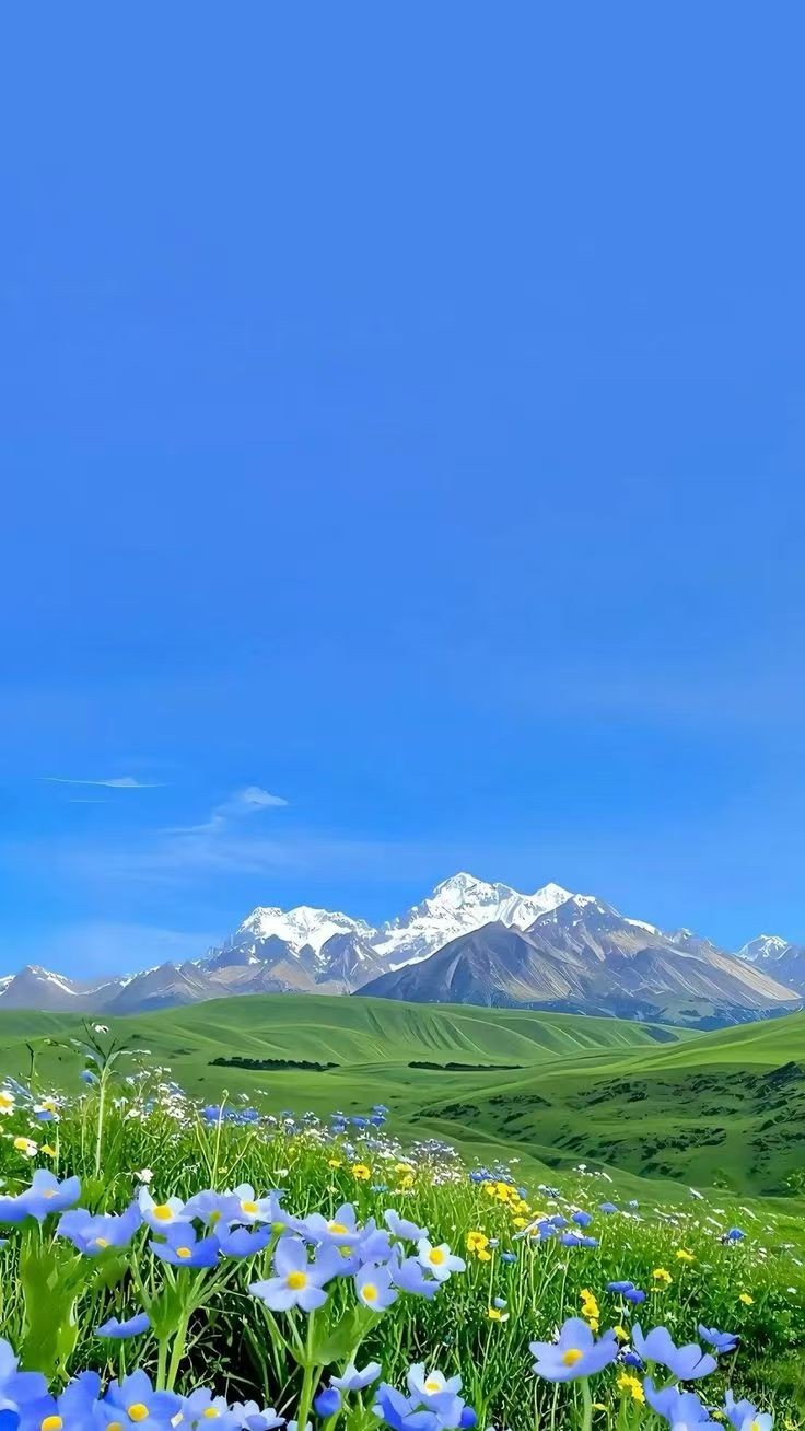 放下执念，放过自己